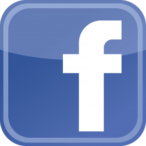 Facebook Logo Button