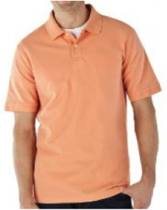 Photo of acceptable polo 