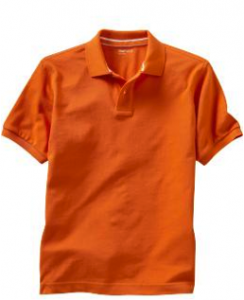 Photo of acceptable polo 