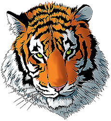 Large Tiger Logo